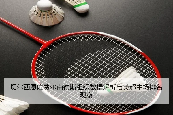 切尔西恩佐费尔南德斯组织数据解析与英超中场排名观察
