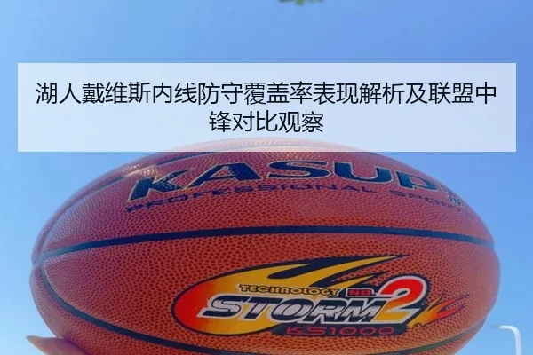 湖人戴维斯内线防守覆盖率表现解析及联盟中锋对比观察
