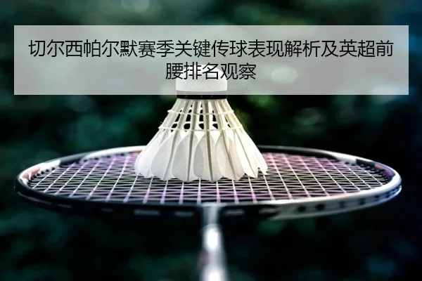 切尔西帕尔默赛季关键传球表现解析及英超前腰排名观察