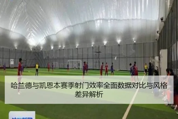 哈兰德与凯恩本赛季射门效率全面数据对比与风格差异解析