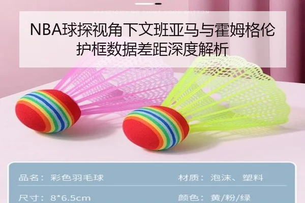 NBA球探视角下文班亚马与霍姆格伦护框数据差距深度解析